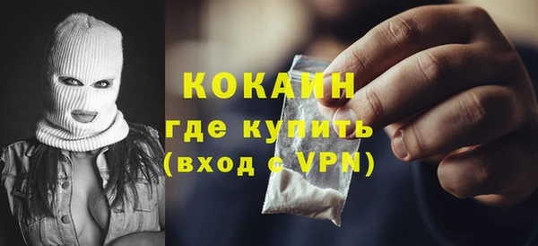 гашик Верея