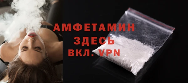 гашик Верея