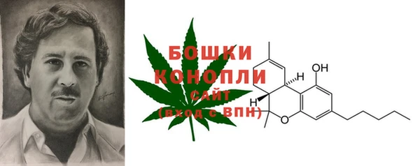 гашик Верея