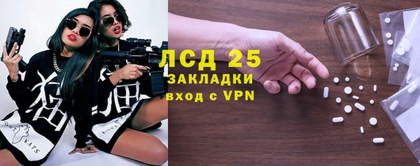 гашик Верея