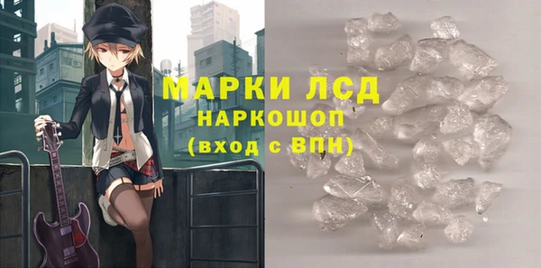 гашик Верея