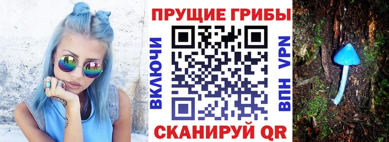 OMG ССЫЛКА  Барнаул  Псилоцибиновые грибы Psilocybine cubensis 